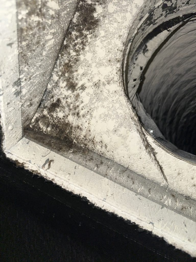 Mold growth found around an air duct boot during an inspection